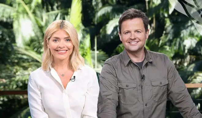 Dec presented I'm A Celeb with Holly Willoughby last year