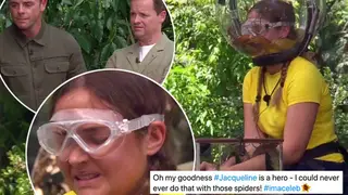 Jacqueline was forced to take on spiders