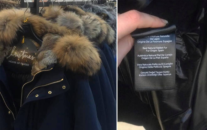 The coats were labelled to have rabbit hair on the trim