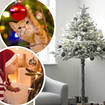 Argos are selling half Christmas trees, perfect for avoiding nasty falls and accidents
